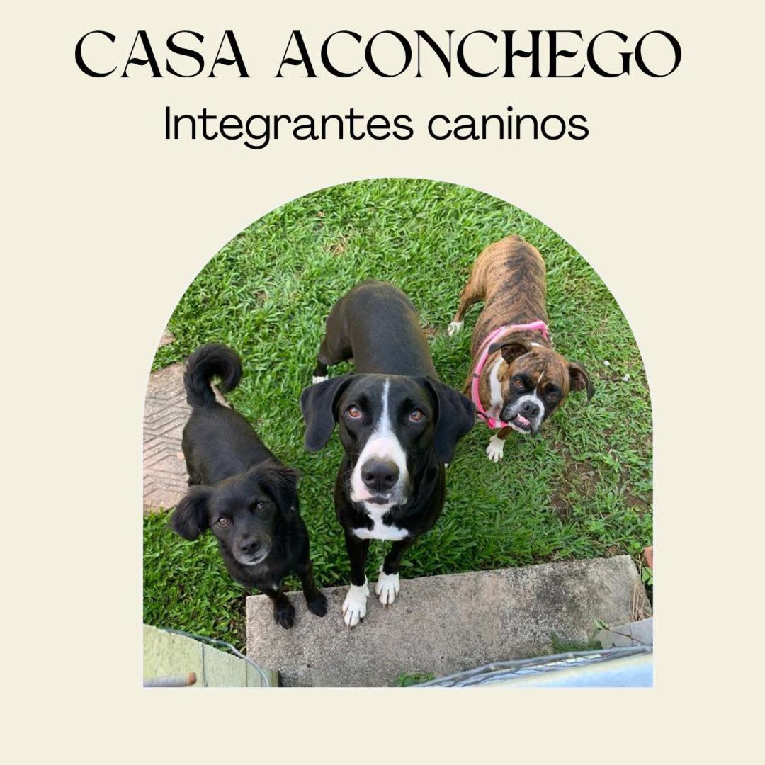 Casa Aconchego 345 Ao Lado Alles Park Pomerode Exterior photo